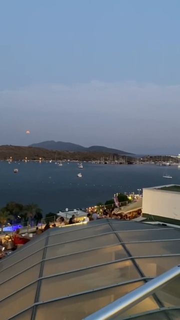 В РОССИИ ЛУЧШЕ! #фишермания #рыбалка #youtube #shorts #фидер смотреть онлайн