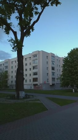 250513 Старинный дуб 1861 г посажен в Орле честь отмены крепостного права город Орёл Бульвар Победы