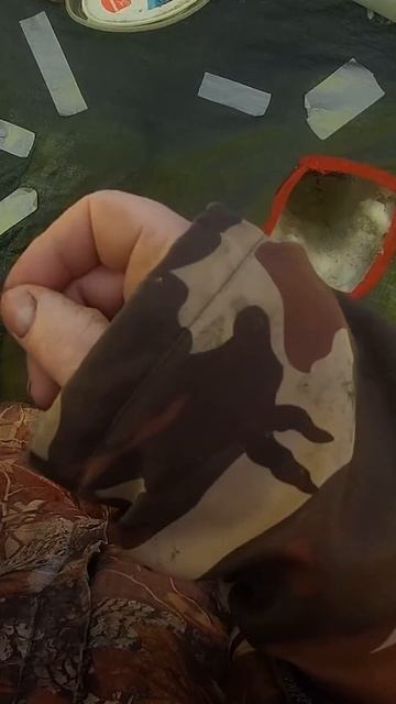 Мы хотим щучью икру.Зимняя рыбалка на щуку #селигер #ры смотреть онлайн