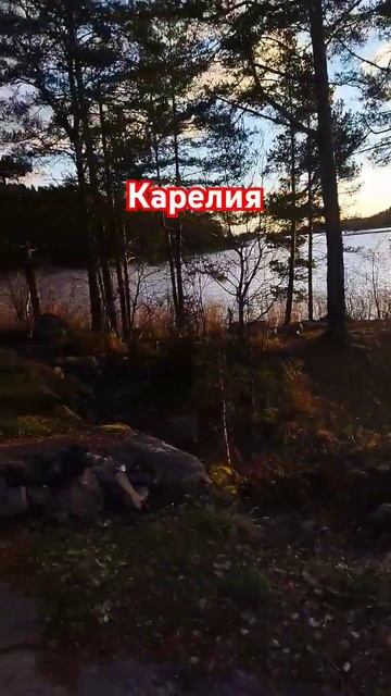 Тут красиво 🌞🌲🐟#карелия #ладога #сортавала смотреть онлайн