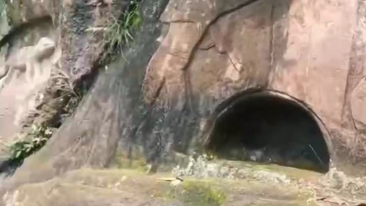 Бразильские археологи во время экспедиции по джунглям Амазонки нашли следы древней цивилизации. смотреть онлайн