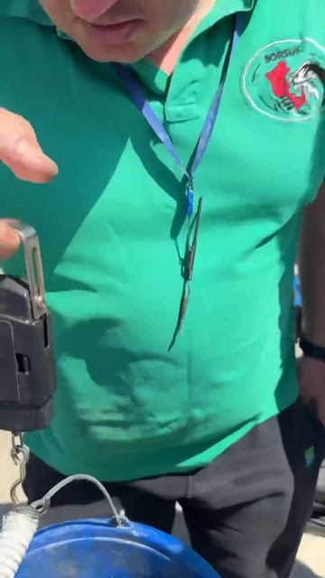 Яяяязь 😆 #shorts #fishing #риболовля #фідер #рыбалканафидер #? смотреть онлайн