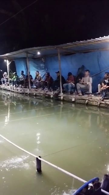 соревнования по рыбной ловле FISHING LIFE смотреть онлайн