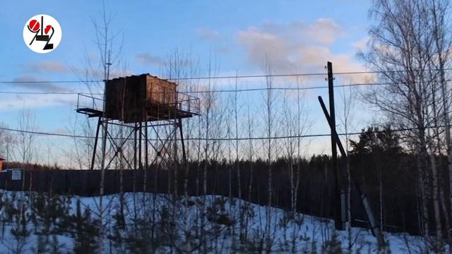 Молодой отец замёрз насмерть в лесу смотреть онлайн