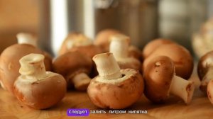 СУПЕР СТИМУЛЯТОРЫ РОСТА 💯 СВОИМИ РУКАМИ