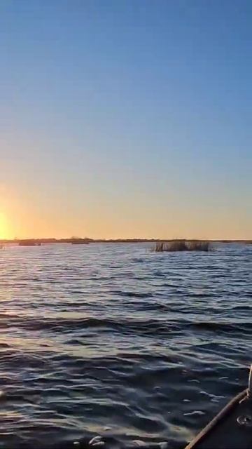 Аграханский залив, Дагестан. #travel #дагестан #nature #аграх смотреть онлайн