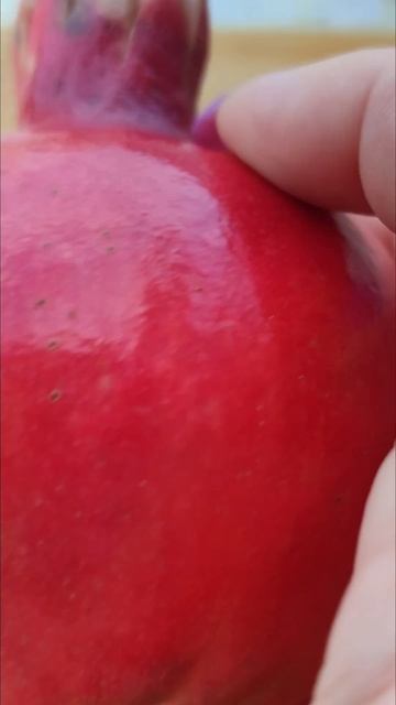 Дагестан, Дербент, кэмпинг, гранат. смотреть онлайн