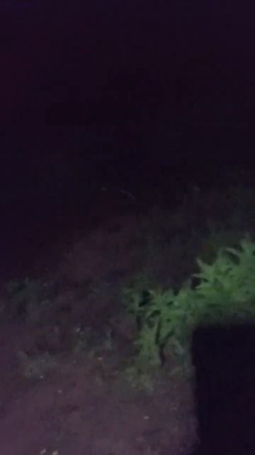 огромный сом #рыбалка#ловля сома##сом#приколы#природа # смотреть онлайн