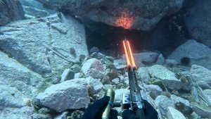 Подводная охота Приморский край. Тёмный окунь, осьмин?