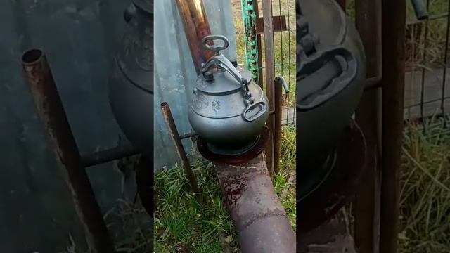 рёбра лося в казане смотреть онлайн