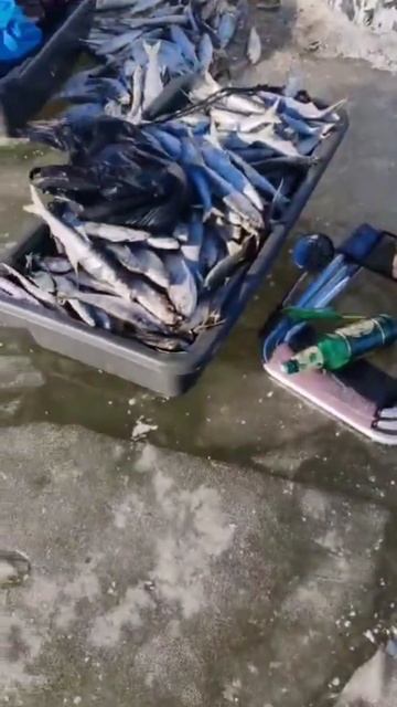 30 декабря 2024 г. смотреть онлайн