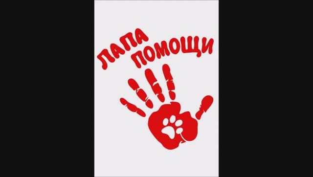 Лапа помощи