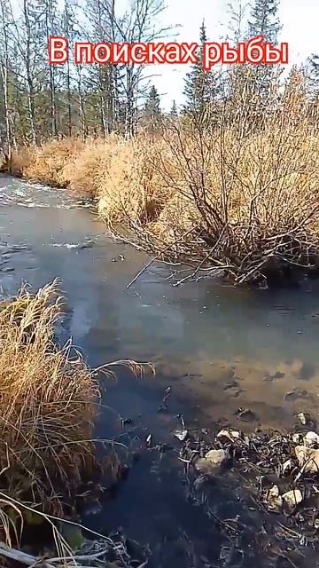 #искать рыбу.#переезд на новое#место.#рыбалка#тайга#отд смотреть онлайн