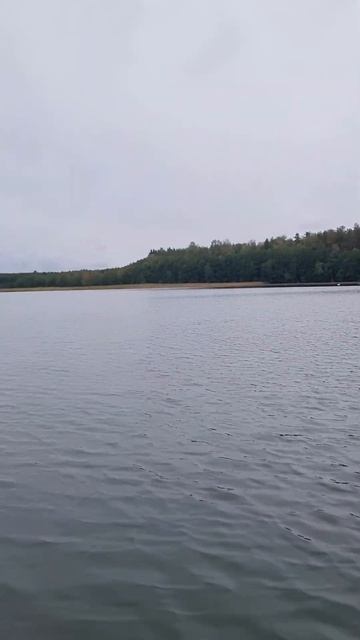 Рыбалка на дорожку!Ни одной рыбы!