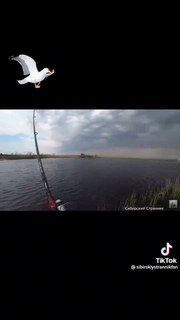 СИБИРСКИЙ СТРАННИК!!! смотреть онлайн