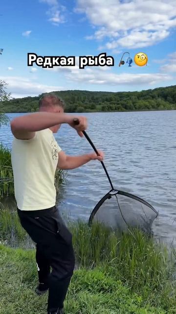 Редкая рыба #fishing #humor #рыбалка #юмор #yubi #yubifun смотреть онлайн