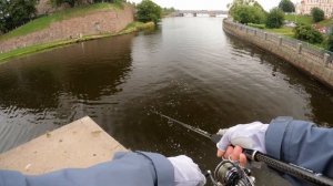 Рыбалка в Выборге. Спиннинг, джиг и поиск хищника. #fishing