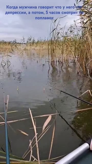 Омская область. Рыбалка в России. Отдых на природе. #fishi смотреть онлайн