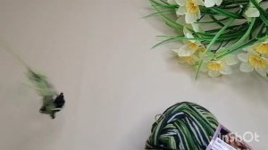 Носочная дюжина 3. Старт 5. Детские носочки