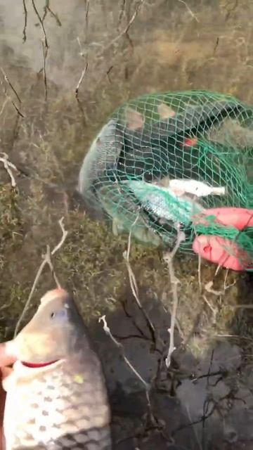 Астрахань! Просьба, перейти в комментарии) смотреть онлайн