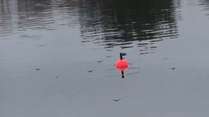 ВЫХОД ЩУКИ!!РЫБАЛКА НА ПОПЛАВОК.РЫБАЛКА НА СПИНИНГ.