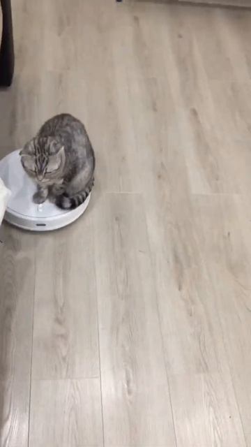 Тестирование пылесоса xiaomi Mi Robot Vacuum-Mop P смотреть онлайн