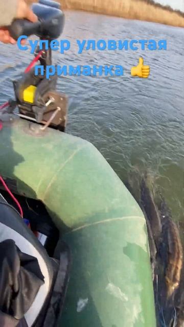 Щуки море,приманка 👍 смотреть онлайн