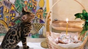 Гедеон Алис-Бриллиант 3,5м