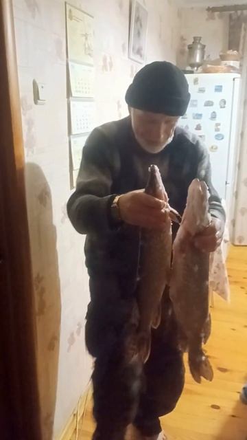 🎣 Первая щука зимней рыбалки! #рыбалка #зима #щука смотреть онлайн