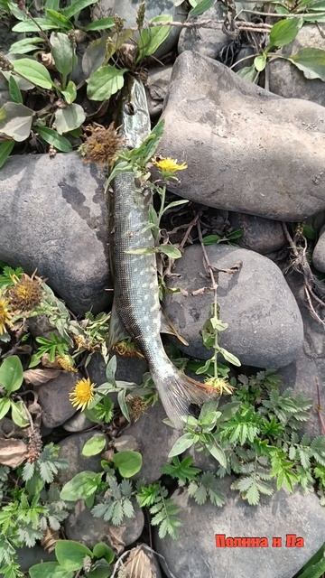 Блесна с Fix Price смотреть онлайн