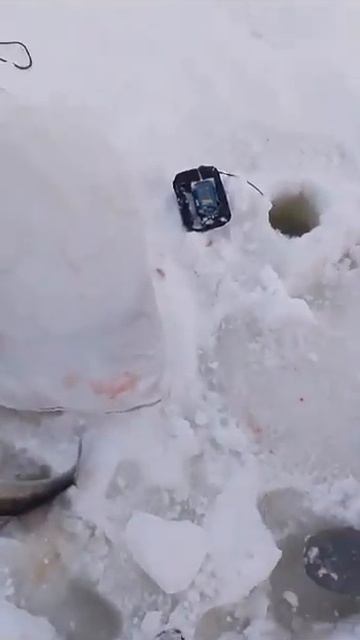 03.02.24г. Хорошие судачки. Клёвое местечко. Камское устье смотреть онлайн