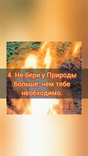 Родовой искон#ведунья #законыведания#магия #сознание #обрядыритуалы #природа #Род#Творец