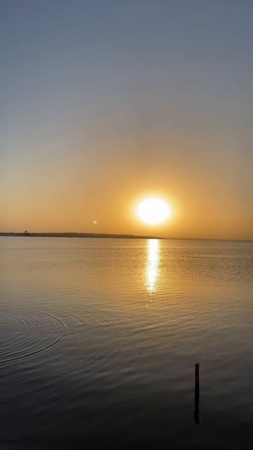 Шардара 2024 рыбалка #шардара #рыбалка #рыбалкавидео #уд? смотреть онлайн