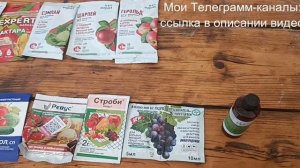 Чем обработать розы и виноград? Мои обработки с весны ?