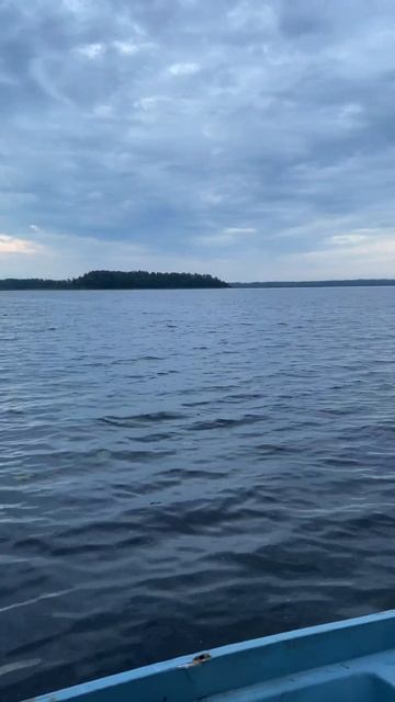 #леснойскобарь #рыбалка#2025#рыбалка2025#лето#озеро#окунь# смотреть онлайн