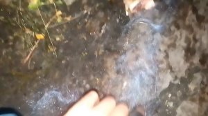 Ловля рыбы на китайскую СЕТЬ с КОРМУШКОЙ