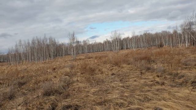 Жена выгнала мужа-писателя, пока его книга не стала ми? смотреть онлайн