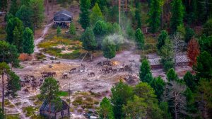 В Югре продолжат создание комфортной среды проживания для коренных народов