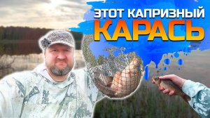 Этот капризный карась...