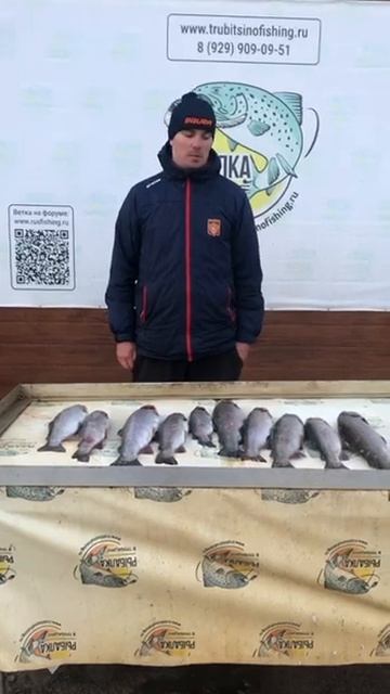 Улов форели/Рыбалка в Подмосковье/Платная рыбалка в Т? смотреть онлайн