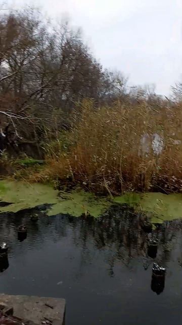 первый снег скоро закрытие сезона и зимняя рыбалка жд?