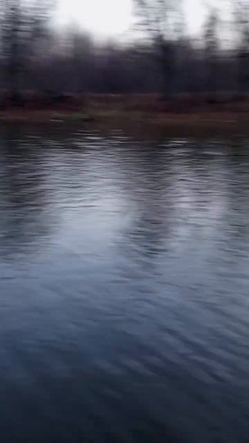 #рыбалка2023 #рыбалка #рыбаки #юмор #рыбак #щука #окунь #су смотреть онлайн