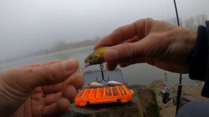 По Судаку он Второй! Khamsin 70 SP-DR