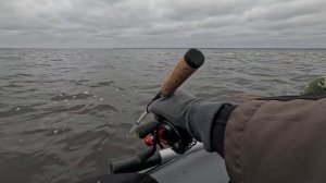 Ловля берша с лодки в отвес на зимние удочки.