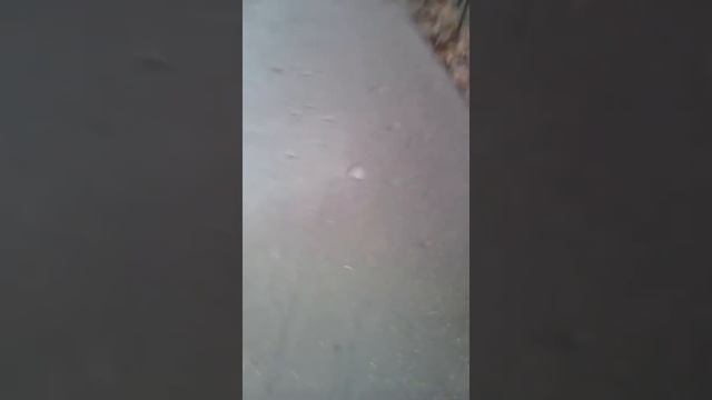 1 видио
