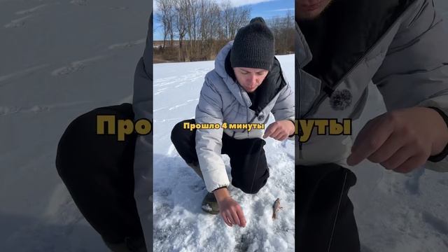 Ловля щук 26 февраля 2025. Беларусь 🇧🇾 смотреть онлайн