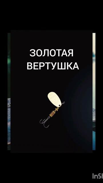 Приманки на щуку) #рыбалка #реки #приманкадлярыбы #щука