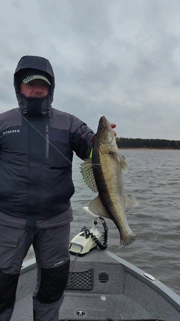 Превозмогая #рыбинка #fishing #рыболовная #рыбный #carpfishing #? смотреть онлайн