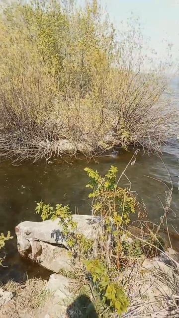 первое озеро смотреть онлайн