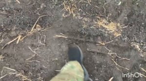 Начало пахоты огородов на ЮМЗ-6002! Настройка плуга ПЛН-3